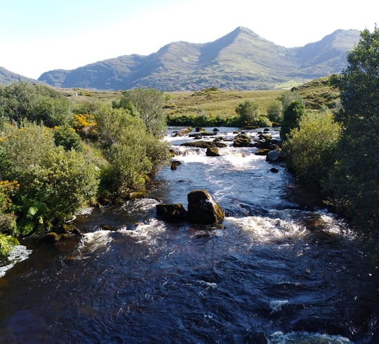 Tributes paid to farmers involved in KerryLIFE project