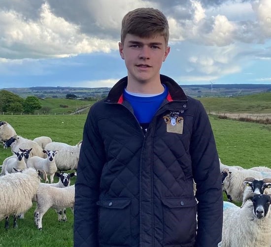 Ulster Wool announces winner of new development programme