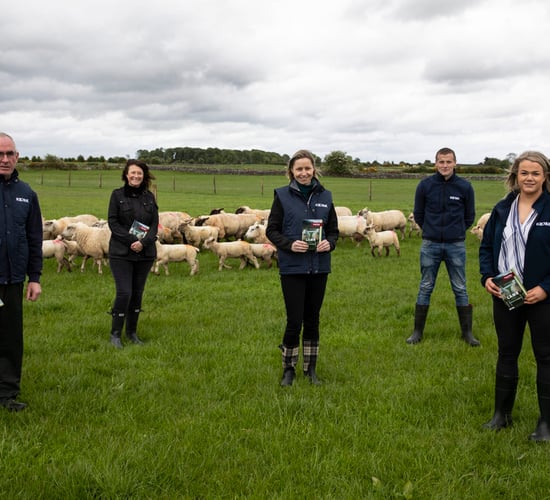 Kepak and Supervalu develop 'Lamb Producer Guidelines'