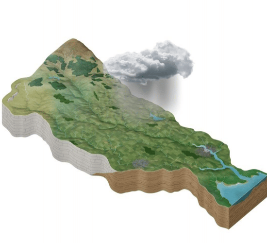EPA report finds 85% nitrogen leakage to rural catchments caused by agriculture
