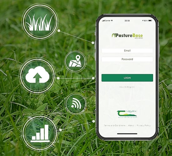 Grass: Avoid a drop in performance and act on information