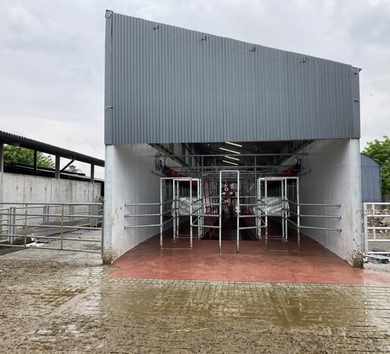 New opportunities for dairy farmers in TAMS 3