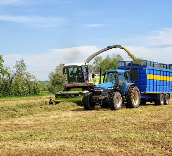 Silage: Deciding if a third cut is needed this year