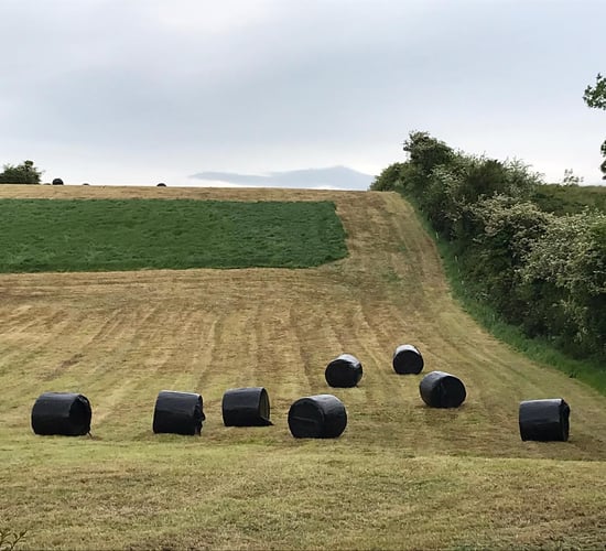 Cutting surplus paddocks - what comes off must be replaced