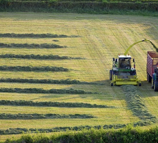 Fodder Support Scheme: Poor growth sparks call for extension