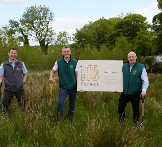 A tree to be planted for every cot or bed sold by baby brand