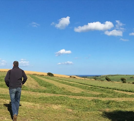 €2m towards delivering climate-neutral farms a 'game changer' - senator