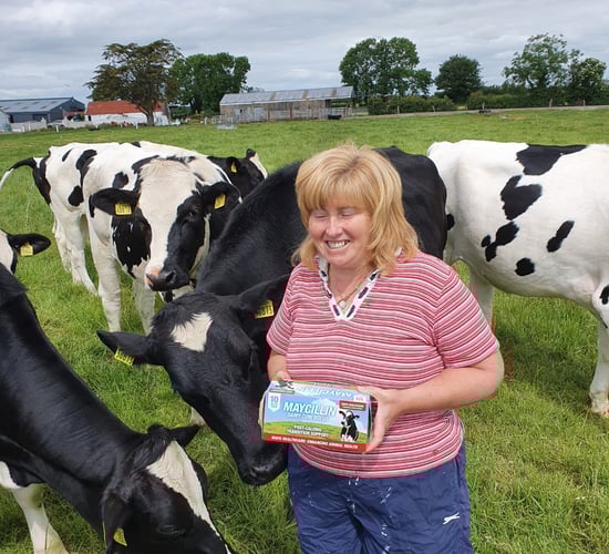 SCC reduction: Limerick farm cuts cell count by 58% in under 2 years