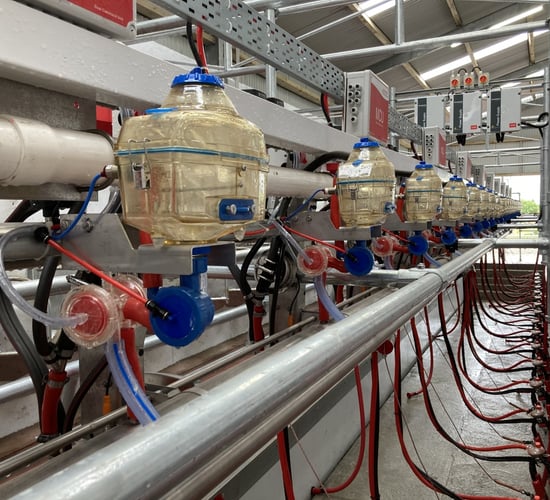 NI milk price round-up: Lakeland swaps unconditional bonus for base price rise
