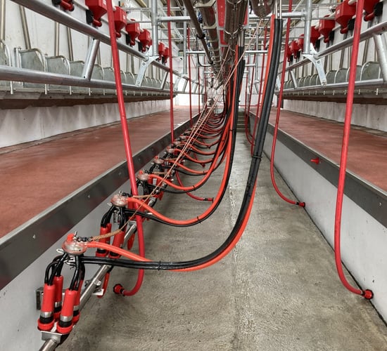 Domestic milk intake down 30 million litres in 2024