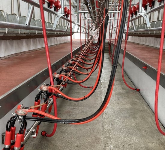 EU milk production facing 'turning point' in medium term - report