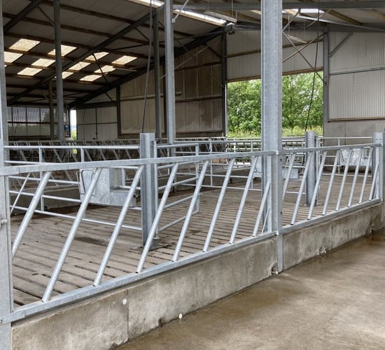 Teagasc measuring slurry capacity on 100 dairy farms