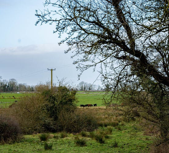 Biodiversity data project worth €34 million announced