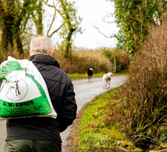 Almost 3,700 Farm Assist recipients to receive bonus payment