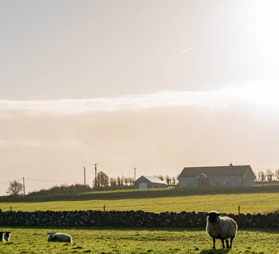 Planning refusals 'pushing out' gaeilgeoirs out of family land