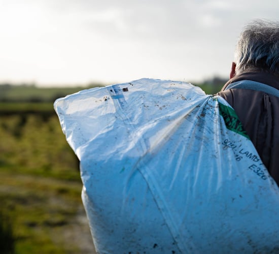 MEP claims older farmers will be 'forced out' of sector by new CAP