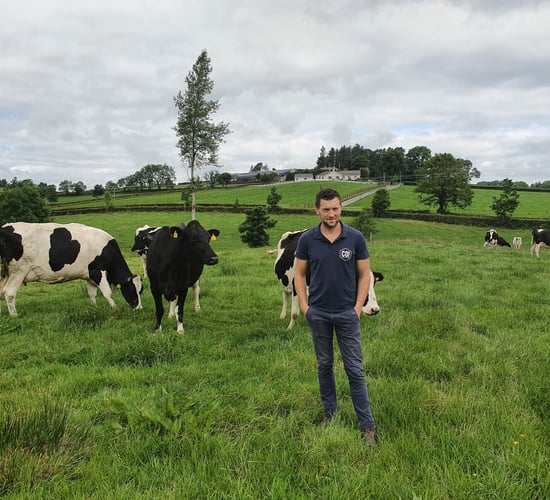Udder health antibiotic use halved at Irish dairy farm