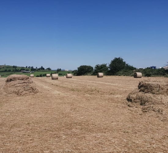 Vandals rip netting and damage hay bales in Cork