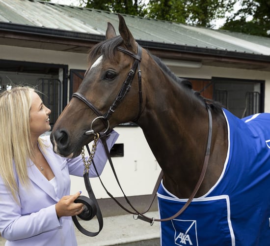 Freewheelin Dylan seeks to defend €75,000 Kilbeggan crown