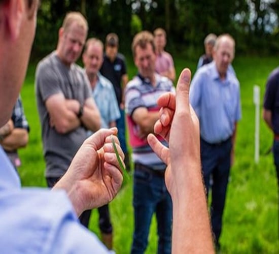 DLF delivers next generation Forage First solutions to Irish farms