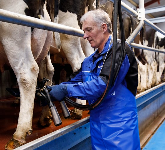 Milking milestone: DeLaval notches up 90 years in Ireland