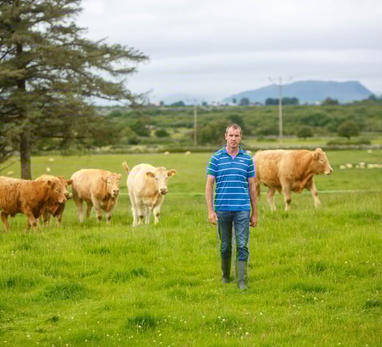 Little and often approach to liming is a win-win solution for Mayo drystock farmer