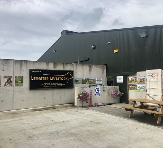 Beef Focus: See inside 'state -of-the-art' Longford cattle dealer's yard