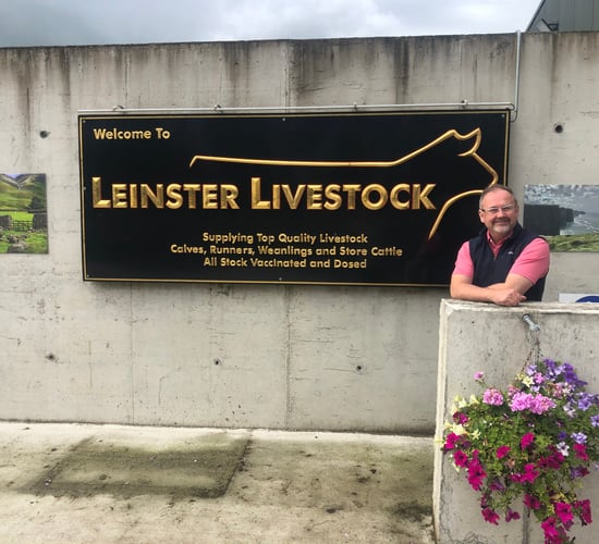 ‘State of the art’ cattle dealer’s yard - Leinster Livestock