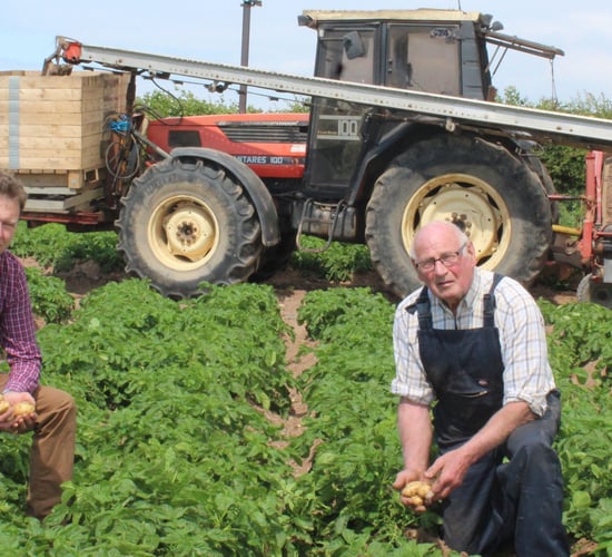 Irrigation now in use to maintain potato yields