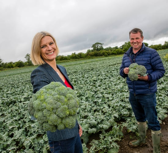 Bord Bia encourages people to 'add one more fruit and veg'