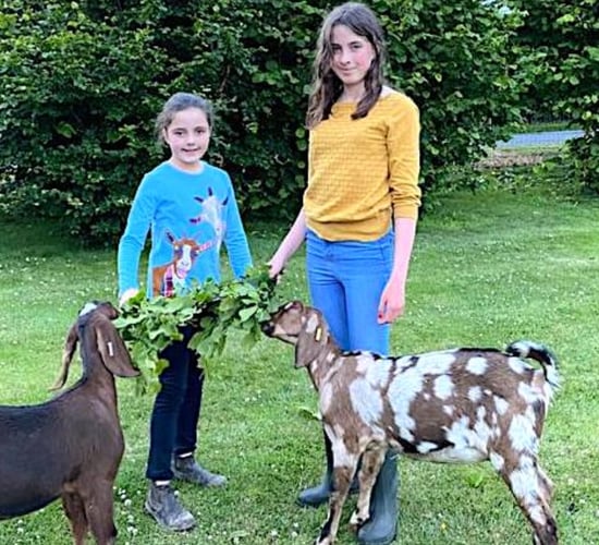What's planned for 2021 Virtual Farm Weekend?