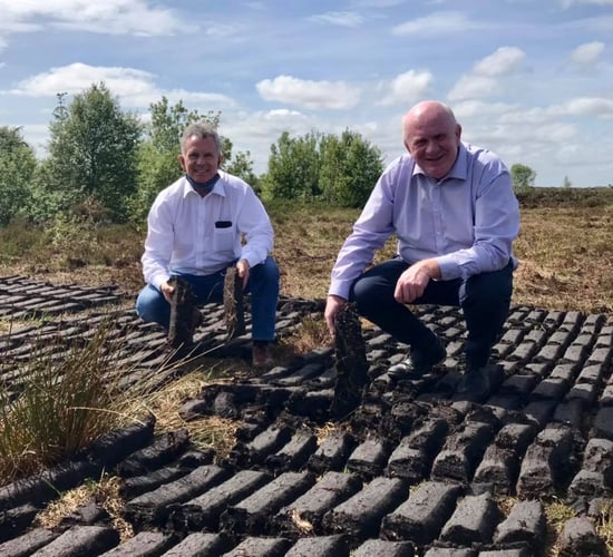 Cahill writes to Taoiseach on 'pressing concerns' for horticulture
