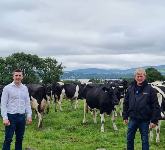 Munster Bovine milk records 500,000 cows in 2021 so far