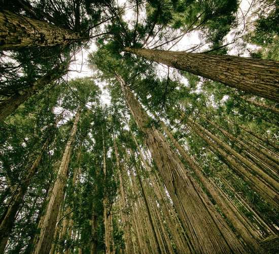 Progress this week on climate legislation at national and EU level