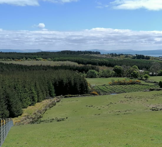 Agriculture minister visits Inishowen Uplands demonstration farm