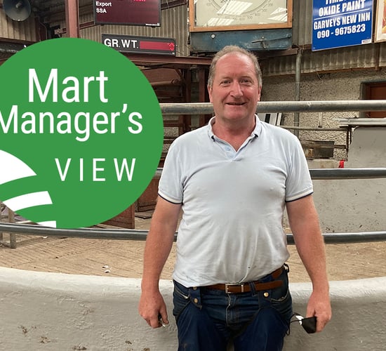 'Disappointing start to the spring lamb trade for farmers'