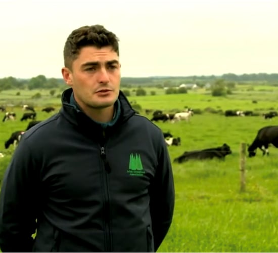 'Not incorporating clover originally was a mistake'