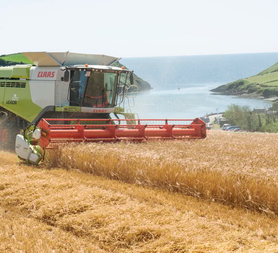 Harvest 2021: Decrease in spring barley area