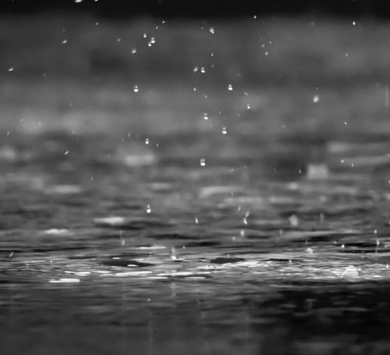 DAFM exploring 'common approach' to extreme weather impact
