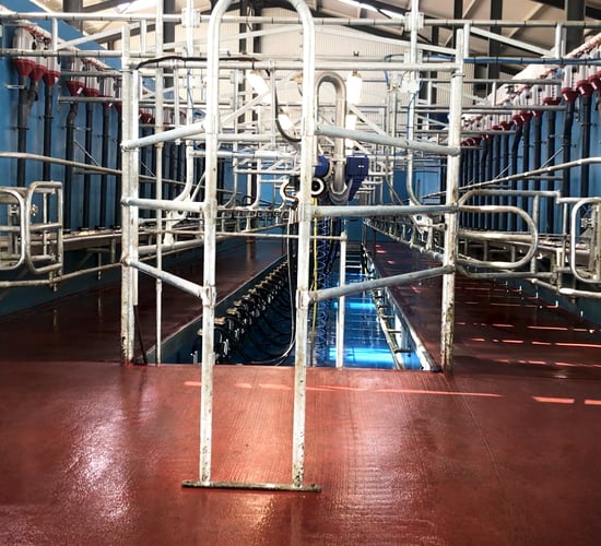 Dairy Focus: ‘It was a team effort to make the farm successful’