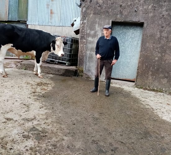 'Excellent' cancer care prompts farmer to donate bullock for support services