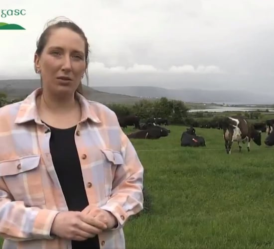 Teagasc/FBD Student of the Year 2020 revealed