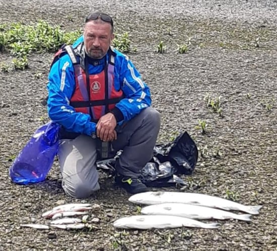 Authorities investigate major fish kill with 2,000 fish dead