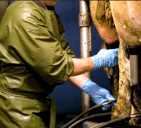 CSO: Slight drop in domestic milk intake in May