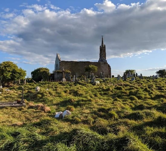 Historic graves from the 1800s uncovered by sheep in Cork