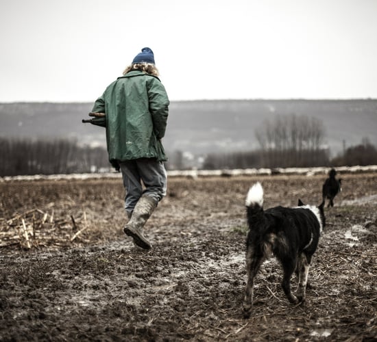 State services must 'focus on connectedness' to reduce loneliness in rural areas