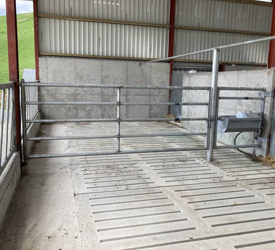 DAFM: Almost 80% of TAMS tranche 1 applications approved