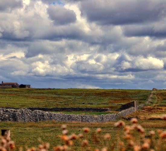 Creative farming projects taking climate action to benefit from €2m fund