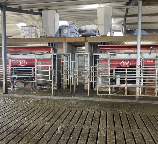 Budget 2023: Dairy and pig farms to benefit from energy supports