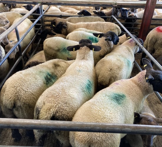 'Farmers must start being  appropriately paid for the quality food they produce'